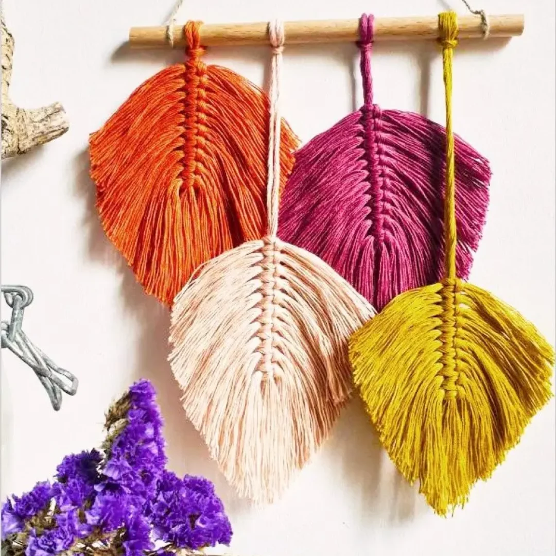 kit plumes